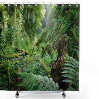 Personality  Deep Gorge With Vertical Walls In The Forest, Rich In Vegetation Shower Curtains