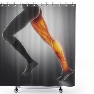Personality  Female Leg Muscle Anatomy Shower Curtains