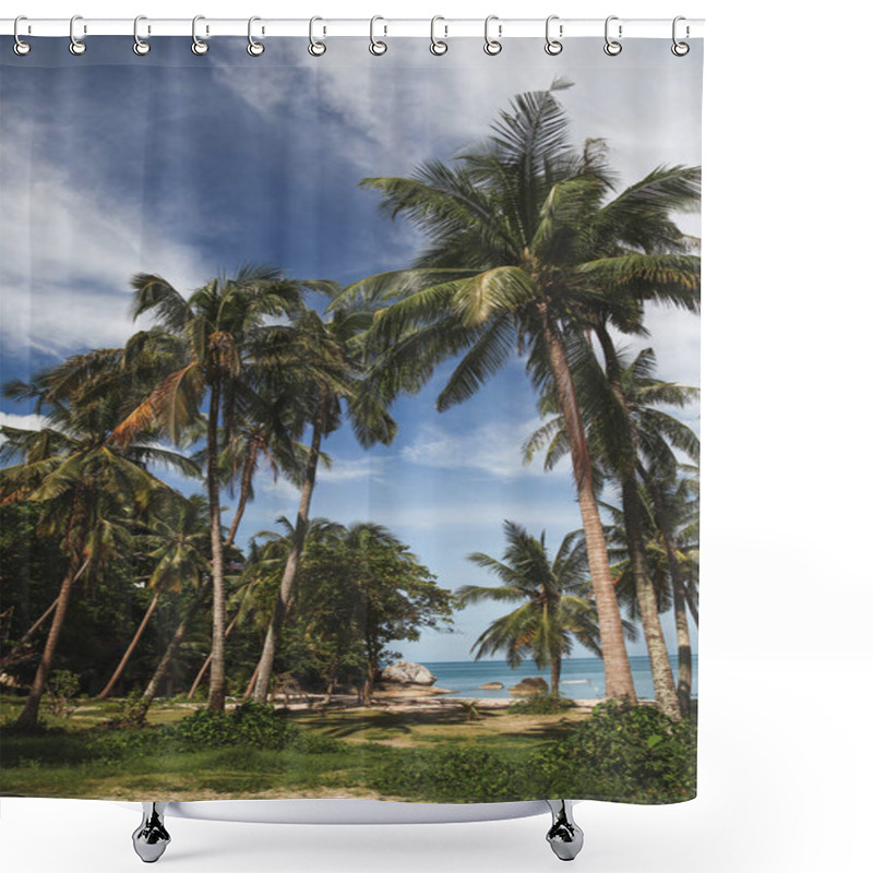 Personality  Palm Trees On Tropical Coast With Ocean On Background Shower Curtains