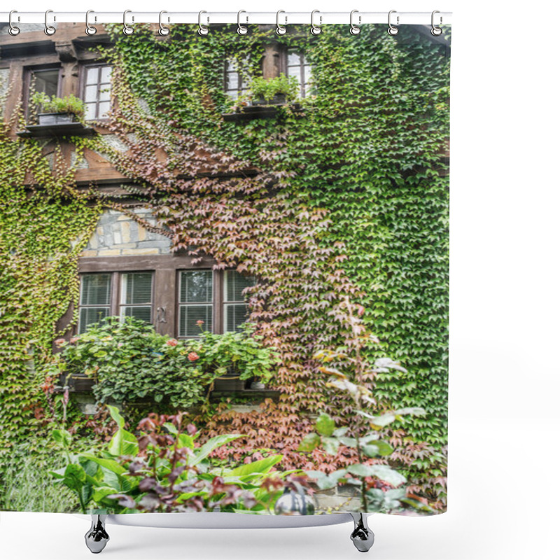 Personality  Windows Covered With Ivy Shower Curtains