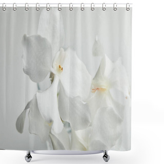 Personality  Beautiful Orchid Flowers Isolated On White Shower Curtains