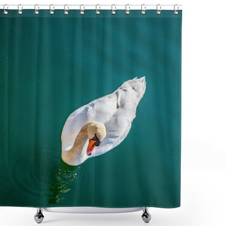 Personality  Swan Shower Curtains