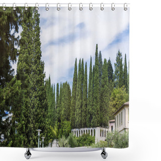 Personality  Italian Cypress Evergreen Trees .Green Pine Trees In Italy . Shower Curtains