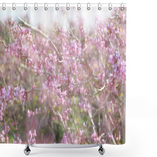 Personality  Double Exposure Of Spring Cherry Blossoms Tree. Abstract Background With Glitter Overlay Shower Curtains