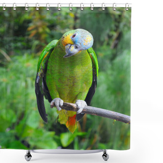 Personality  Parrot In The Rainforest Perching On A Branch Shower Curtains