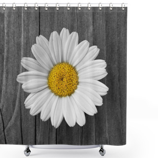 Personality  Daisy Flower Shower Curtains