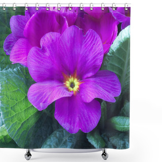 Personality  Flower Shower Curtains