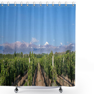 Personality  Grape Plantation Mountains And The Moon In Valle De Uco, Mendoza, Argentina Shower Curtains