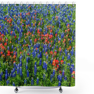 Personality  A Wide Angle View Of A Beautiful Texas Field Blanketed With Texas Wildflowers. Shower Curtains