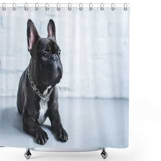Personality  Dog Shower Curtains