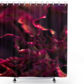 Personality  Burgundy Carnation Flower In Bloom, Abstract Floral Blossom Art  Shower Curtains