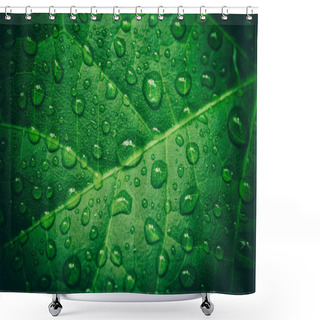 Personality  Green Leaf With Waterdrops After Rain Shower Curtains