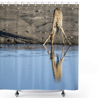 Personality  Sight Of The Namibian Wilderness Shower Curtains