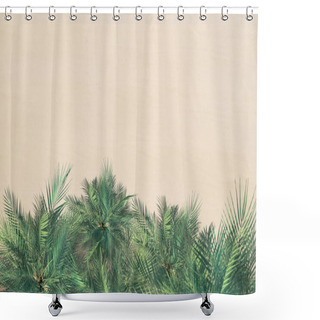 Personality  Top And Aerial View On Tropical Sand Beach, Palm Tree. Copy Space. Drone Photo. Background Shower Curtains
