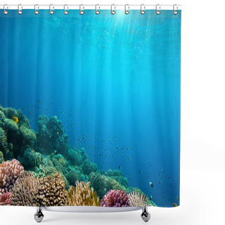 Personality  Ocean Underwater Background Image Shower Curtains