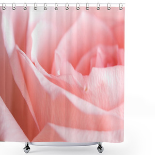 Personality  Pale Rose Shower Curtains