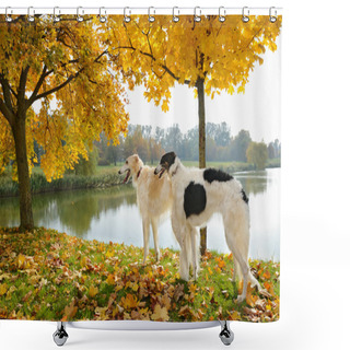 Personality  Two Russian Wolfhounds Shower Curtains