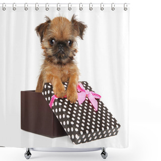 Personality  Brussels Griffon Puppy In A Gift Box Shower Curtains