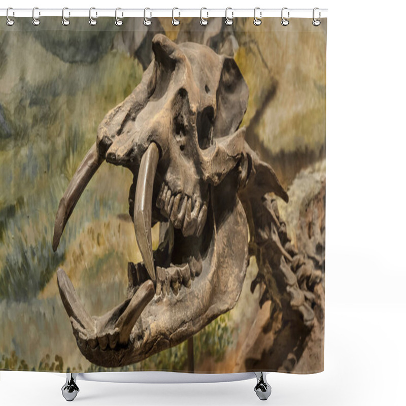 Personality  Fossil Skull Of Extinct Astrapotherium Magnum, Patagonia, Argent Shower Curtains