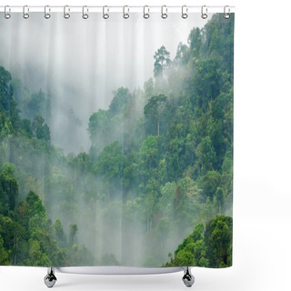 Personality  Rainforest Morning Fog Shower Curtains