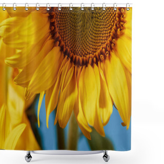 Personality  Close Up Of Beautiful Yellow Sunflower On Blue Shower Curtains