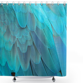 Personality  Blue And Gold Macaw Feathers Shower Curtains
