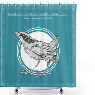Personality  Great Encyclopedia Of Animal Planet Earth, Vintage Birds Illustration Shower Curtains