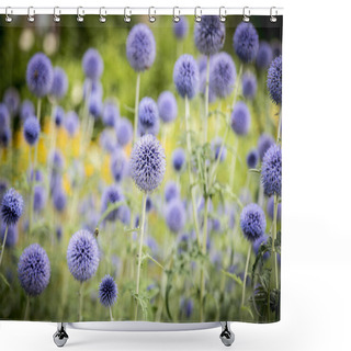 Personality  A Field Of Purple Thistles In Summer Shower Curtains