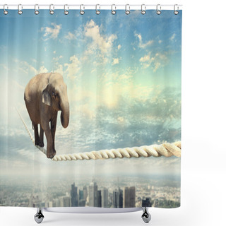 Personality  Elephant Walking On Rope Shower Curtains