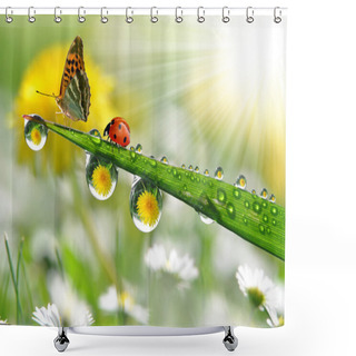 Personality  Butterfly And Ladybug Shower Curtains