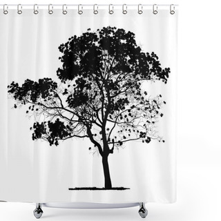 Personality  Vector Drawing Of The Tree - Detailed Vector Shower Curtains