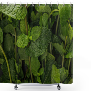 Personality  Close Up View Of Fresh Aromatic Peppermint Bundle Shower Curtains