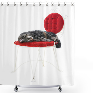 Personality  Pampered Puss Shower Curtains