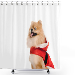 Personality  Funny Pomeranian Spitz Dog In Santa Costume Isolated On White Shower Curtains