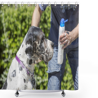 Personality  Dog Bathing Shower Curtains