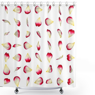 Personality  A Big Set Of Red Rose Petals In Different Angles Shower Curtains
