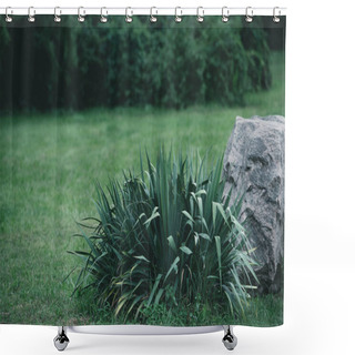 Personality  Decorative Bush And Rock On Meadow In Botanical Garden Shower Curtains