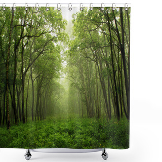 Personality  Forest Mystic Way Shower Curtains