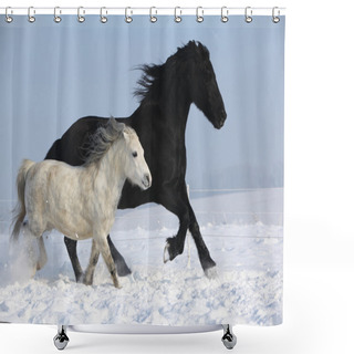 Personality  Black Horse And White Pony Running Together Shower Curtains