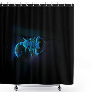 Personality  Scorpion Under Ultraviolet Light 2 Shower Curtains