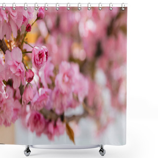 Personality  Close Up View Of Pink Flowers Of Aromatic Cherry Tree In Park Shower Curtains