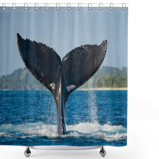 Personality  Whale Jumping In The Air Shower Curtains