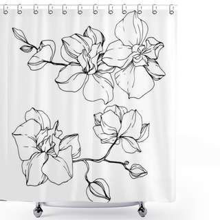 Personality  Beautiful Orchid Flowers. Black And White Engraved Ink Art. Isolated Orchids Illustration Element On White Background. Shower Curtains