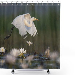 Personality   Egret In Water Lily Pond  Shower Curtains