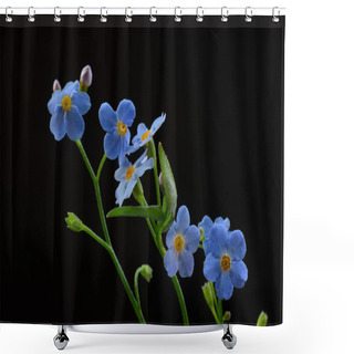 Personality  Forget Me Not Flower Shower Curtains