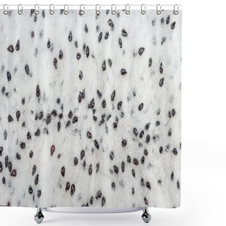 Personality  Close Up View Of Exotic Ripe Dragon Fruit Puree Shower Curtains