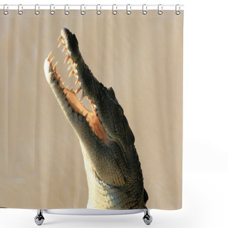 Personality  Croc - Kakadu National Park, Australia Shower Curtains