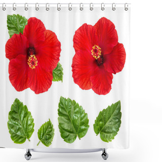 Personality  Hibiscus Flower Head And Green Leaves Isolated On White Background. Red Blossom Shower Curtains
