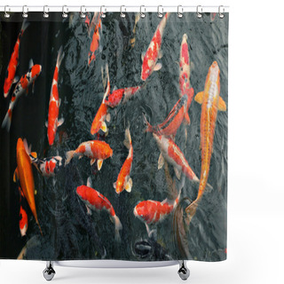 Personality  Many Carp Fishes Shower Curtains