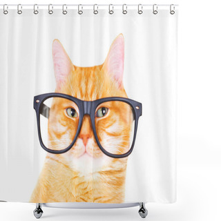 Personality  Red Cat With Glasses Isolated On White Background. Shower Curtains